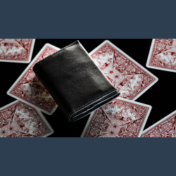 Quiver Compact Index (Gimmick only) by Kelvin Chow