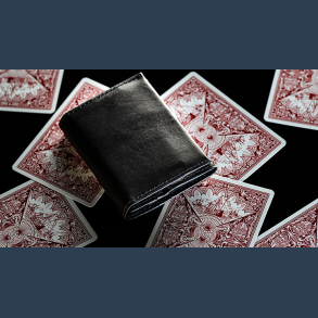 Quiver Compact Index (Gimmick only) by Kelvin Chow