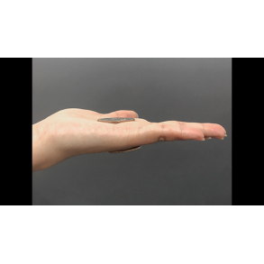 POWER COIN (U.S. Half) by Himitsu Magic