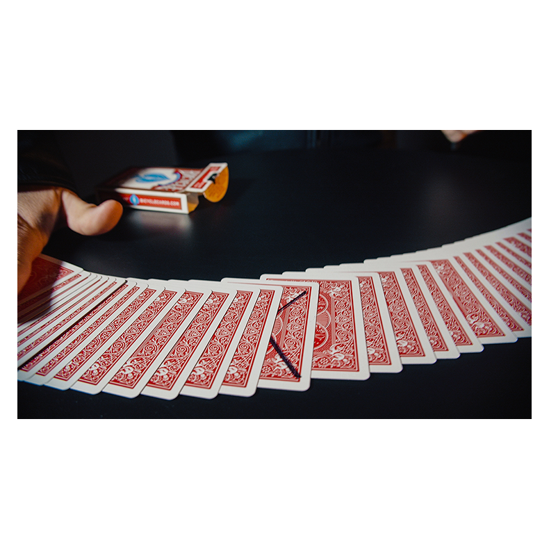 THE LEGACY SYSTEM + ACCESSORIES - Joo Miranda.