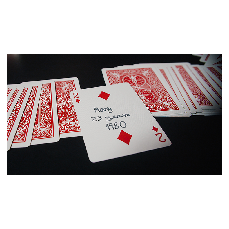 THE LEGACY SYSTEM + ACCESSORIES - Joo Miranda.