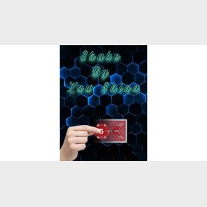 Shake By Zaw Shinn video DOWNLOAD