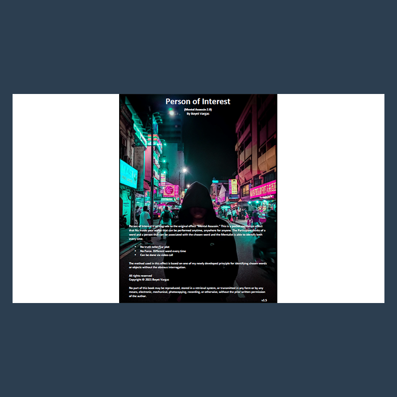 Person of Interest by Boyet Vargas ebook DOWNLOAD