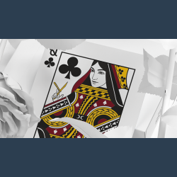 Daniel Schneider White Edition Playing Cards