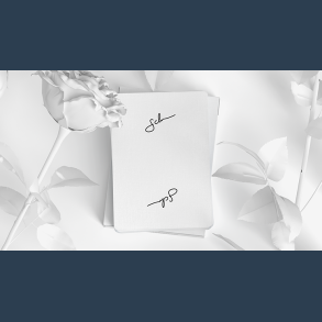 Daniel Schneider White Edition Playing Cards