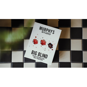 The Big Blind by Craig Petty