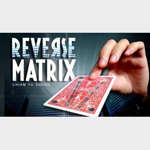 REVERSE MATRIX RED