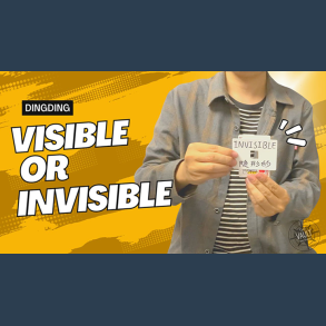 The Vault - Visible or Invisible by Dingding video DOWNLOAD