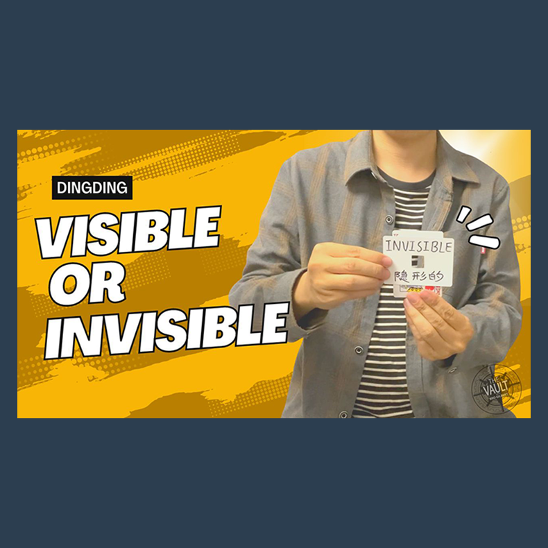 The Vault - Visible or Invisible by Dingding video DOWNLOAD