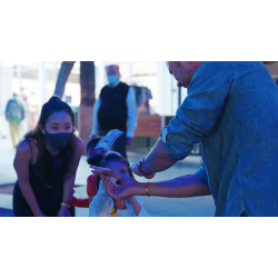 Spider Pen X by Yigal Mesika