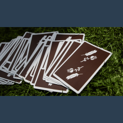 Remedies Playing Cards by Madison x Schneider