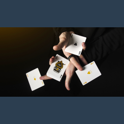 SLOTS Playing Cards by Mechanics Industries