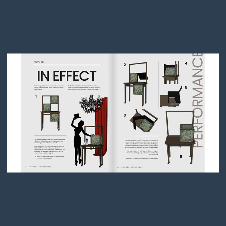 VANISH MAGIC MAGAZINE #100 ebook DOWNLOAD