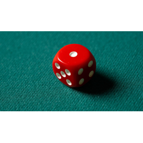 REPLACEMENT DIE (GIMMICKED) FOR MENTAL DICE by Tony Anverdi