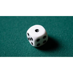 REPLACEMENT DIE (GIMMICKED) FOR MENTAL DICE by Tony Anverdi