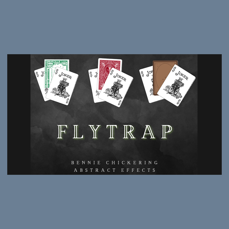 Fly Trap by Bennie Chickering