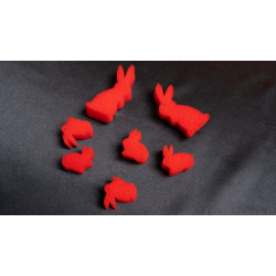 MAGIC MULTIPLYING RABBITS