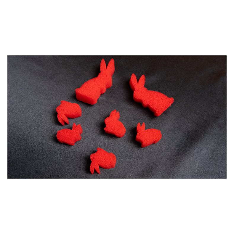 MAGIC MULTIPLYING RABBITS