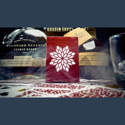 Eleusis Deck Video Project by Fraser Parker and Mark Lemon