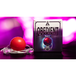 OBEDIENT BALL
