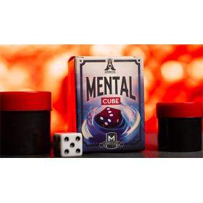 MENTAL CUBE