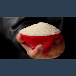 RICE BOWLS by Apprentice Magic