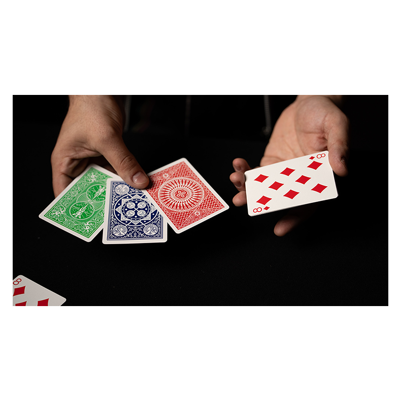 Cardboard Chameleons by DARYL 