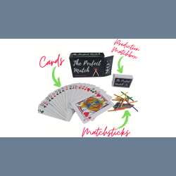 PERFECT MATCH by Vinny Sagoo