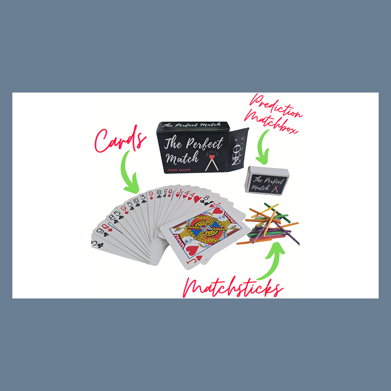 PERFECT MATCH by Vinny Sagoo