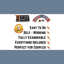 PERFECT MATCH by Vinny Sagoo