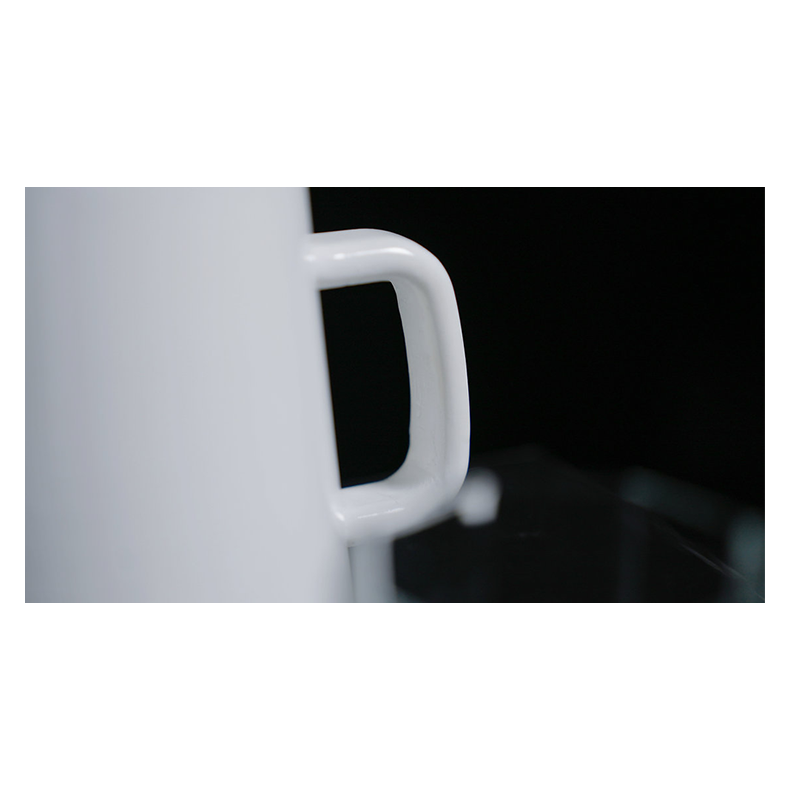 Snowflake SG by Bond Lee and ZF Magic 