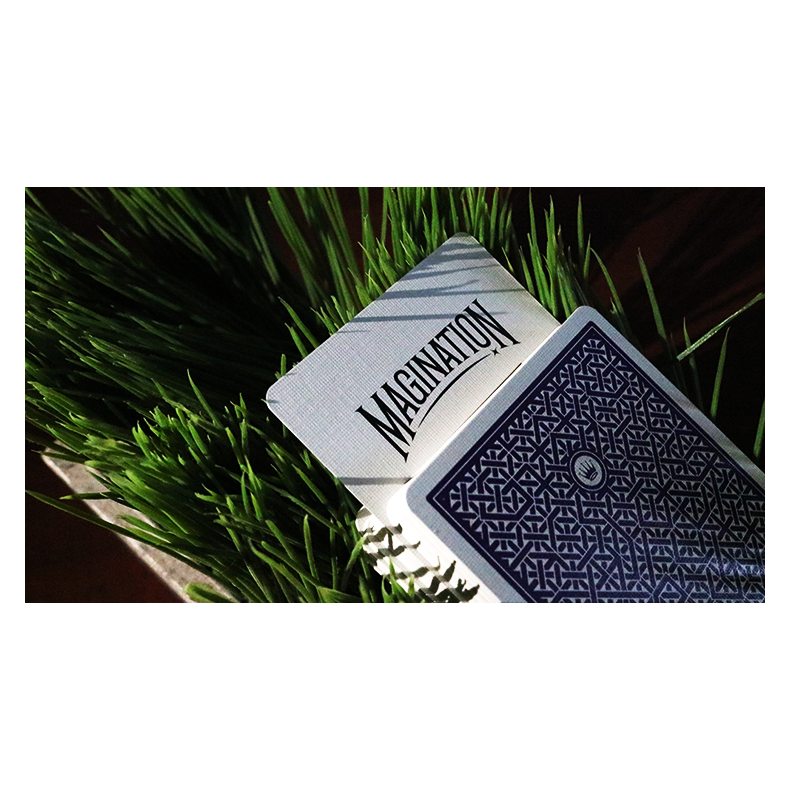 DMC Alpha V3 (Purple) Portcullis with Online Instructions