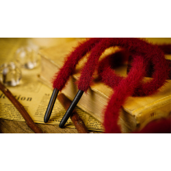 Grandma's Miracle by TCC &amp; Chen Yang