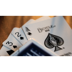 Bicycle Blur by Mathieu Bich / Garrett Thomas