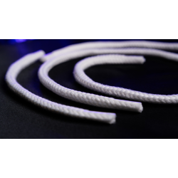 PROFESSORS NIGHTMARE