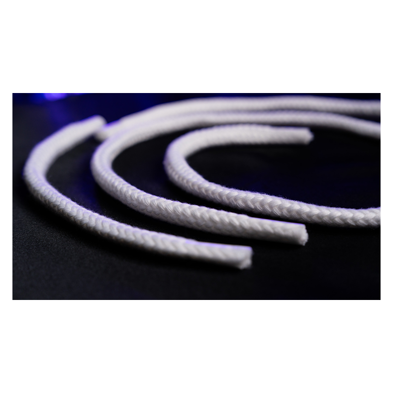 PROFESSORS NIGHTMARE