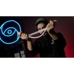 PROFESSORS NIGHTMARE