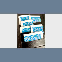 Mis-Indexed Court Cards (LIGHT) - Pack of 12 by Steve Dela