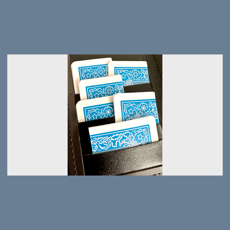 Mis-Indexed Court Cards (LIGHT) - Pack of 12 by Steve Dela