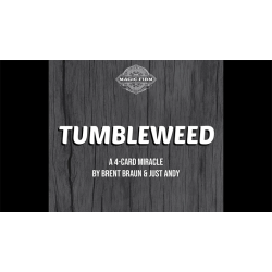 Tumbleweed by Brent Braun and Andy Glass 
