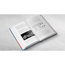 RAINMAN by Vincent Hedan 