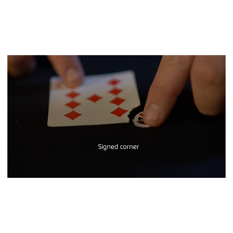 Vitrine Red by Alexis Touchard