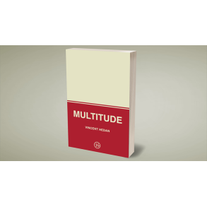 Multitude by Vincent Hedan 