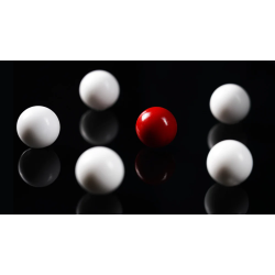 Smart Scale by Pitata Magic