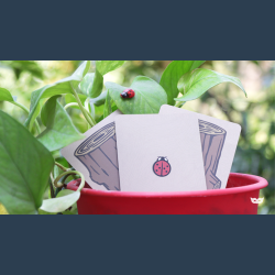 Lucky Ladybug (Log) by Joshua Ray &amp; Deuce Gala Magic