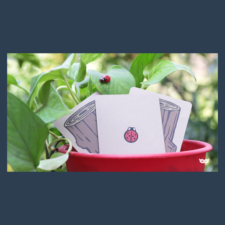 Lucky Ladybug (Log) by Joshua Ray &amp; Deuce Gala Magic