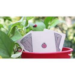 Lucky Ladybug by Joshua Ray &amp; Deuce Gala Magic