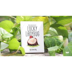 Lucky Ladybug by Joshua Ray &amp; Deuce Gala Magic