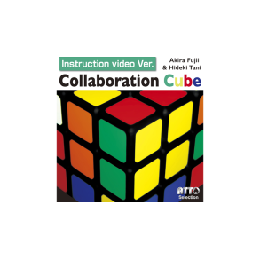Collaboration Cube by Akira Fujii & Hideki Tani