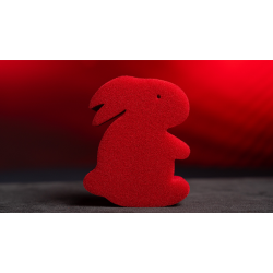 Magic Sponge Bunny Rabbit Set (Red)